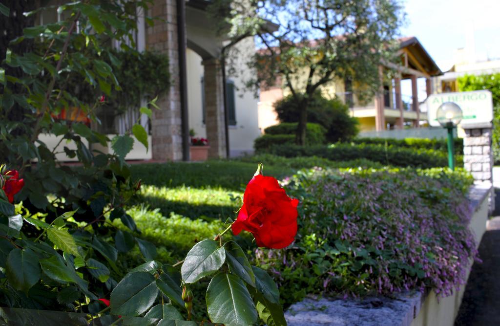 Albergo La Quiete Desenzano del Garda Bagian luar foto